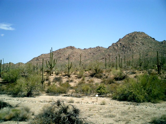 CIMG0016.JPG
