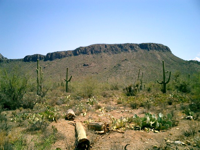 CIMG0017.JPG