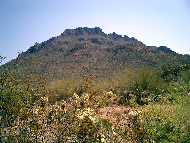 CIMG0003.JPG