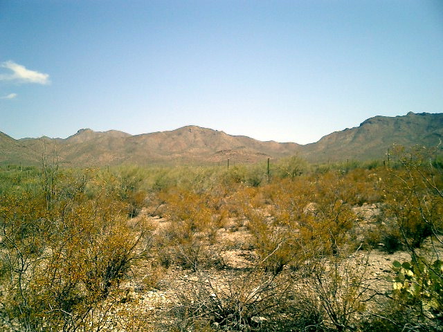 CIMG0006.JPG