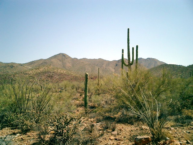 CIMG0007.JPG