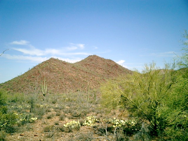 CIMG0008.JPG