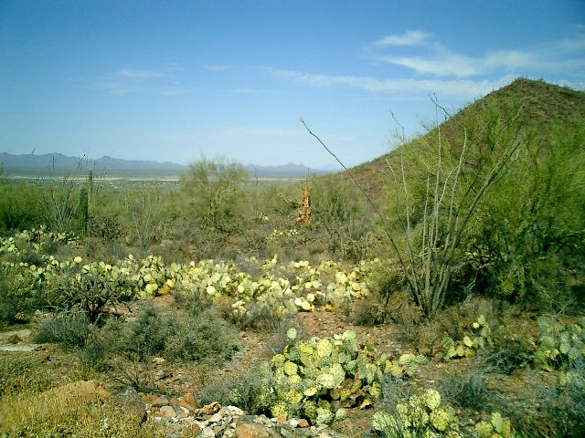 CIMG0009.JPG