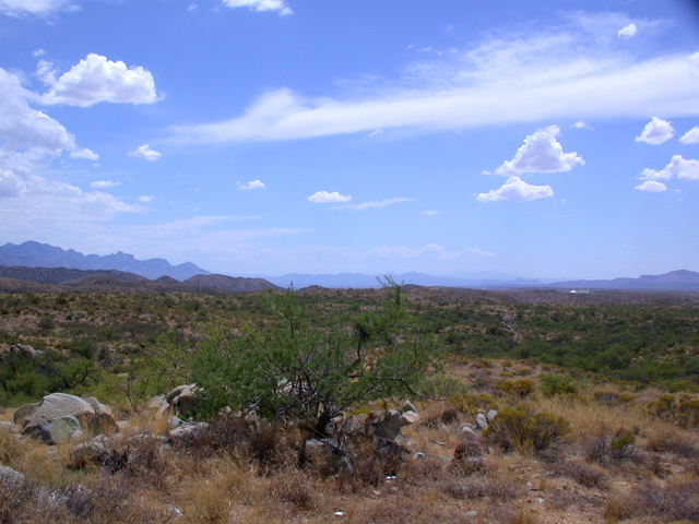 DSCN3921.JPG