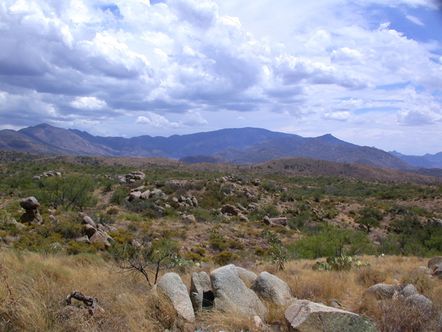 DSCN3928.JPG