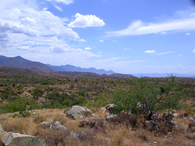 DSCN3929.JPG