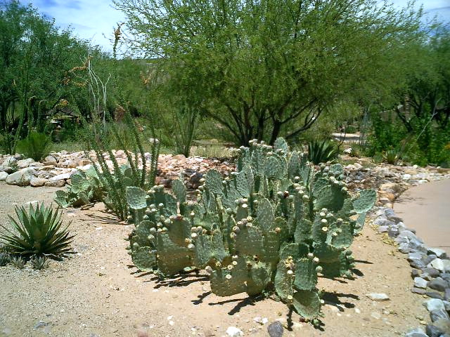 CIMG0005.JPG
