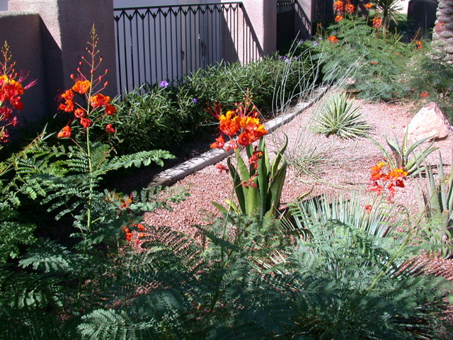 DSCN3617.JPG