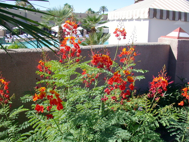 DSCN3618.JPG