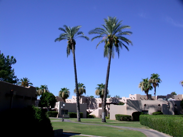 DSCN3620.JPG