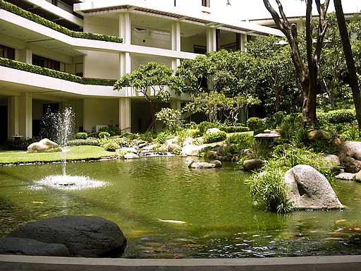 10-maui
