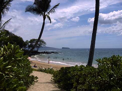 12-maui