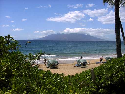 13-maui