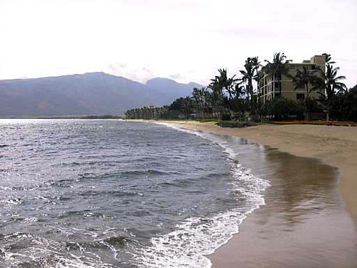 21-maui