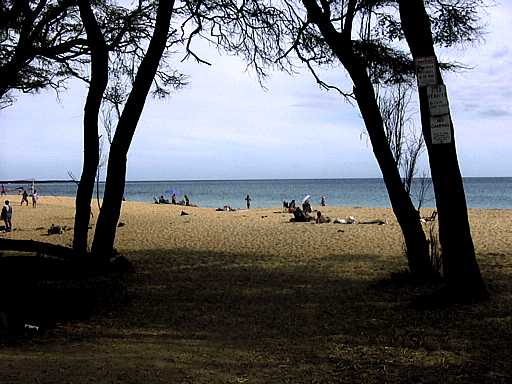 22-maui
