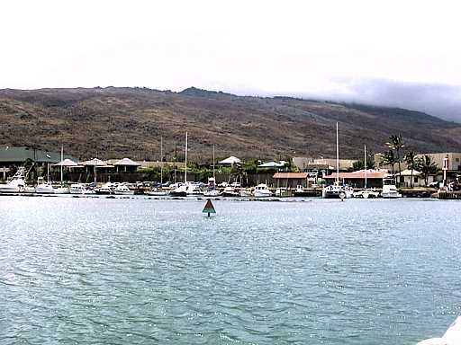 31-maui