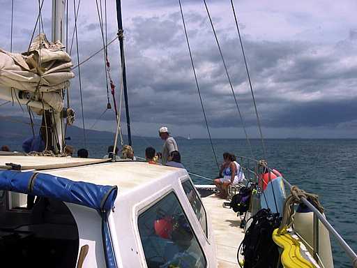 32-maui