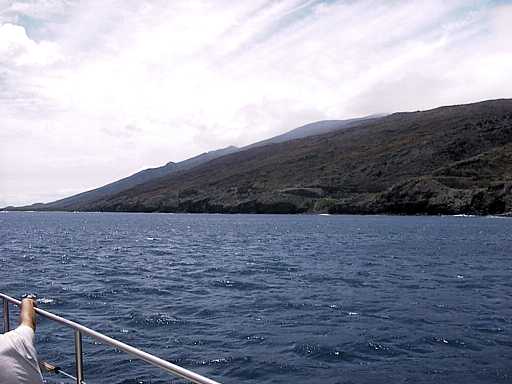 33-maui