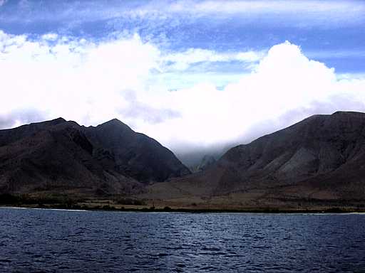 36-maui
