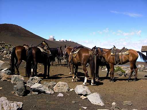 74-haleakala
