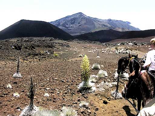 82-haleakala