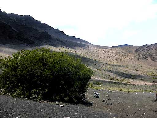 88-haleakala