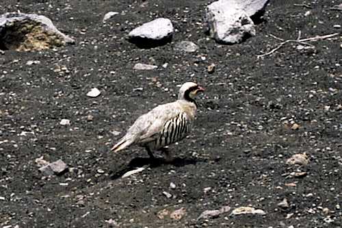 89-haleakala